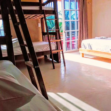 Tribe Beachville إل كويو المظهر الخارجي الصورة