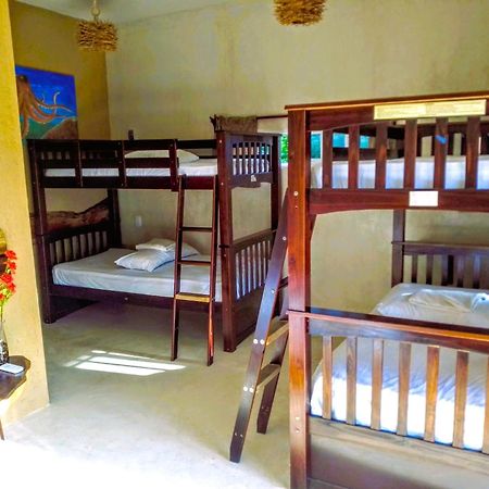 Tribe Beachville إل كويو المظهر الخارجي الصورة