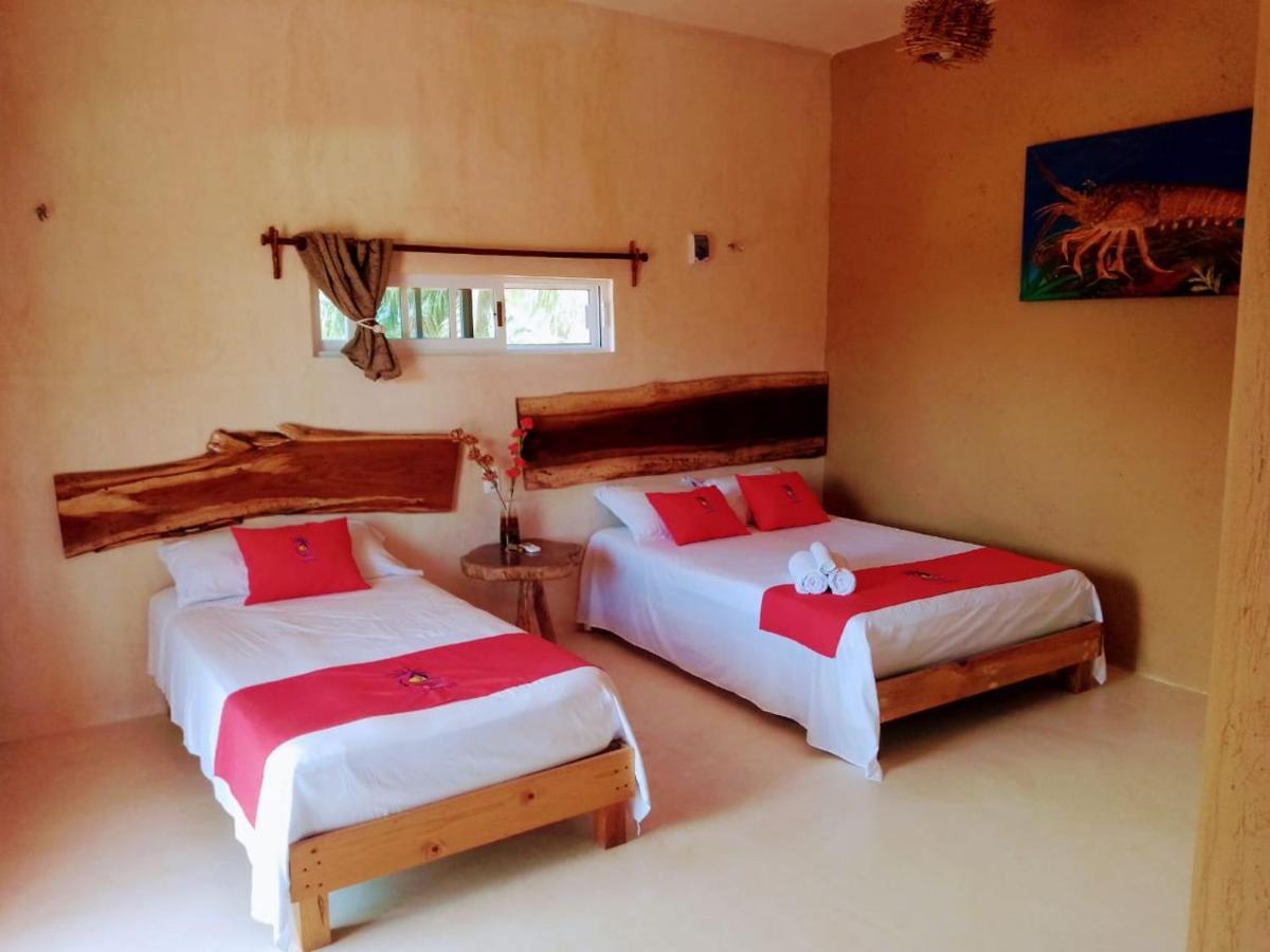 Tribe Beachville إل كويو المظهر الخارجي الصورة