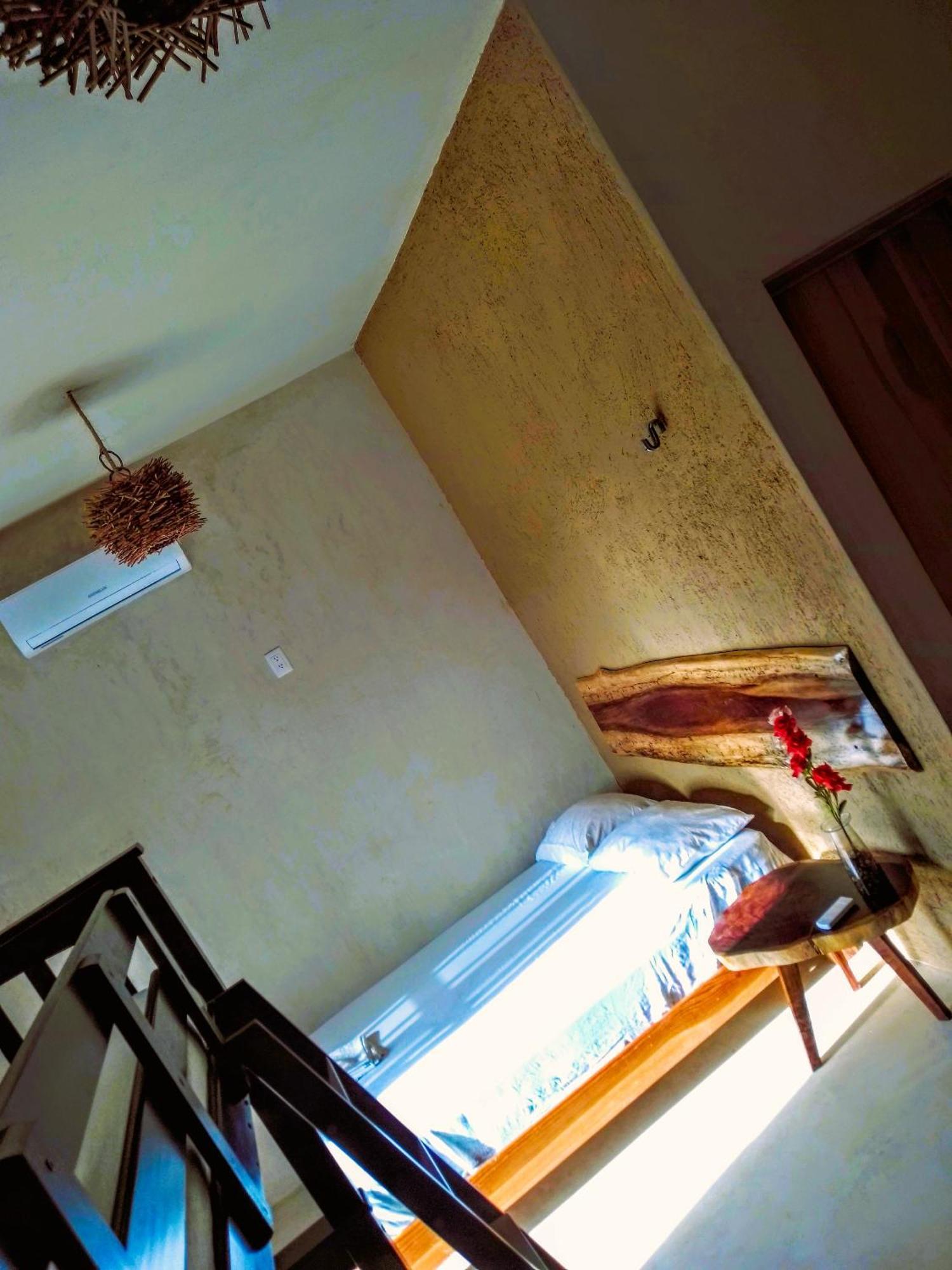 Tribe Beachville إل كويو المظهر الخارجي الصورة